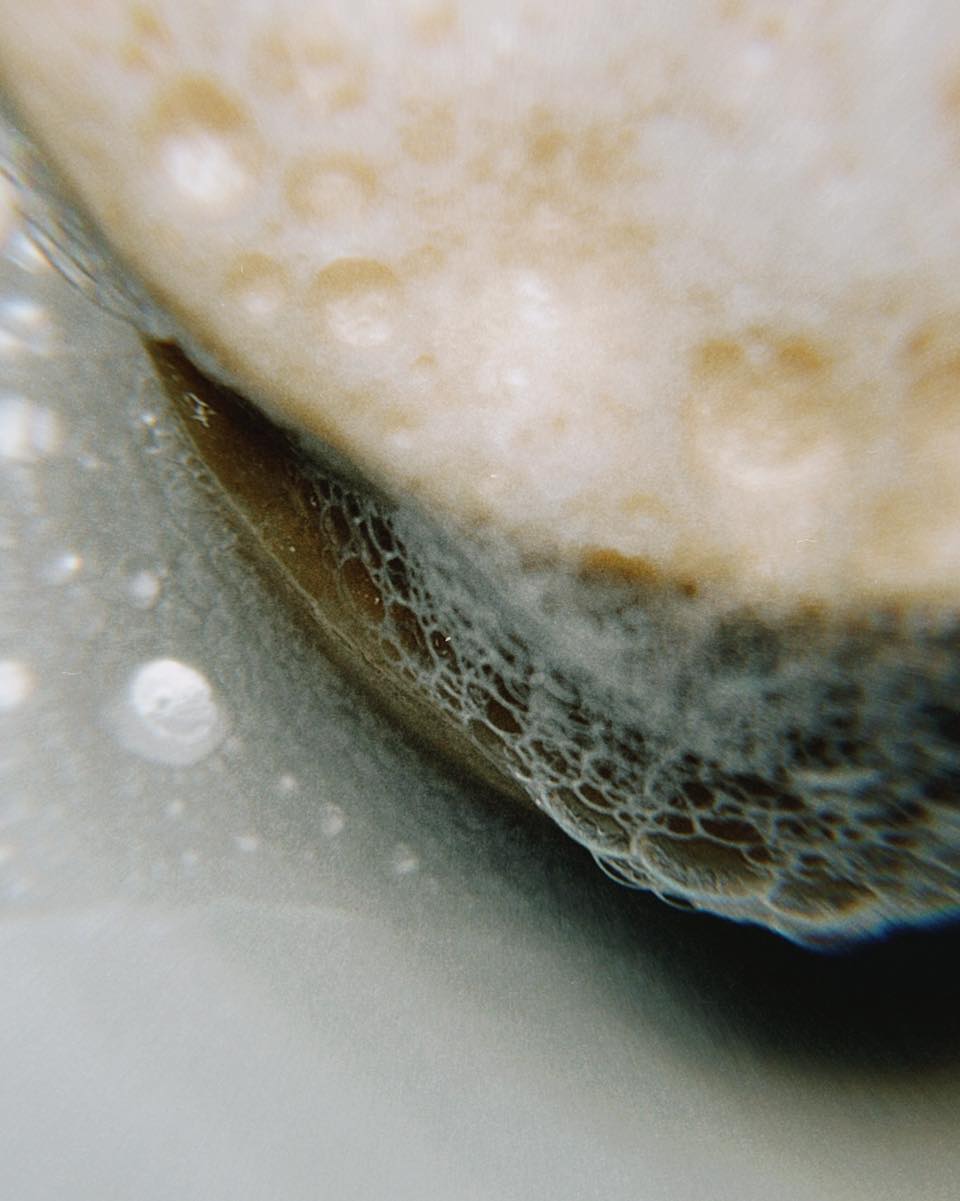 What Does “Prebiotic Shampoo” Mean?